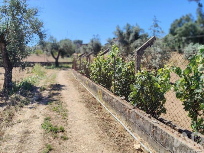 Terreno para Venda em Castelo Foto 31