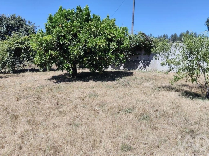 Terreno para Venda em Castelo Foto 23
