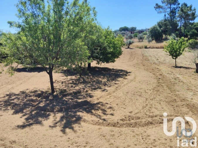 Terreno para Venda em Castelo Foto 12