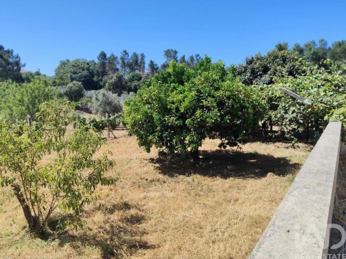 Terreno para Venda em Castelo Foto 16
