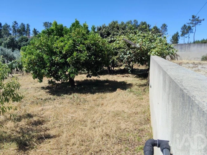 Terreno para Venda em Castelo Foto 17
