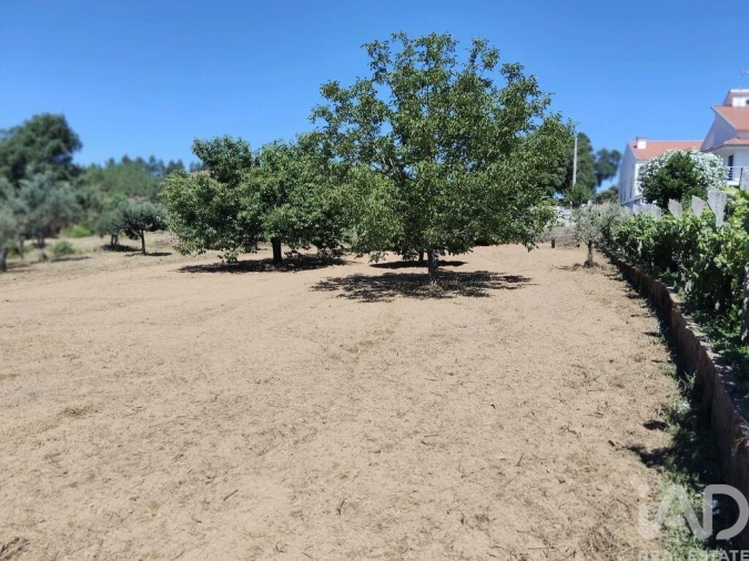 Terreno para Venda em Castelo Foto 29