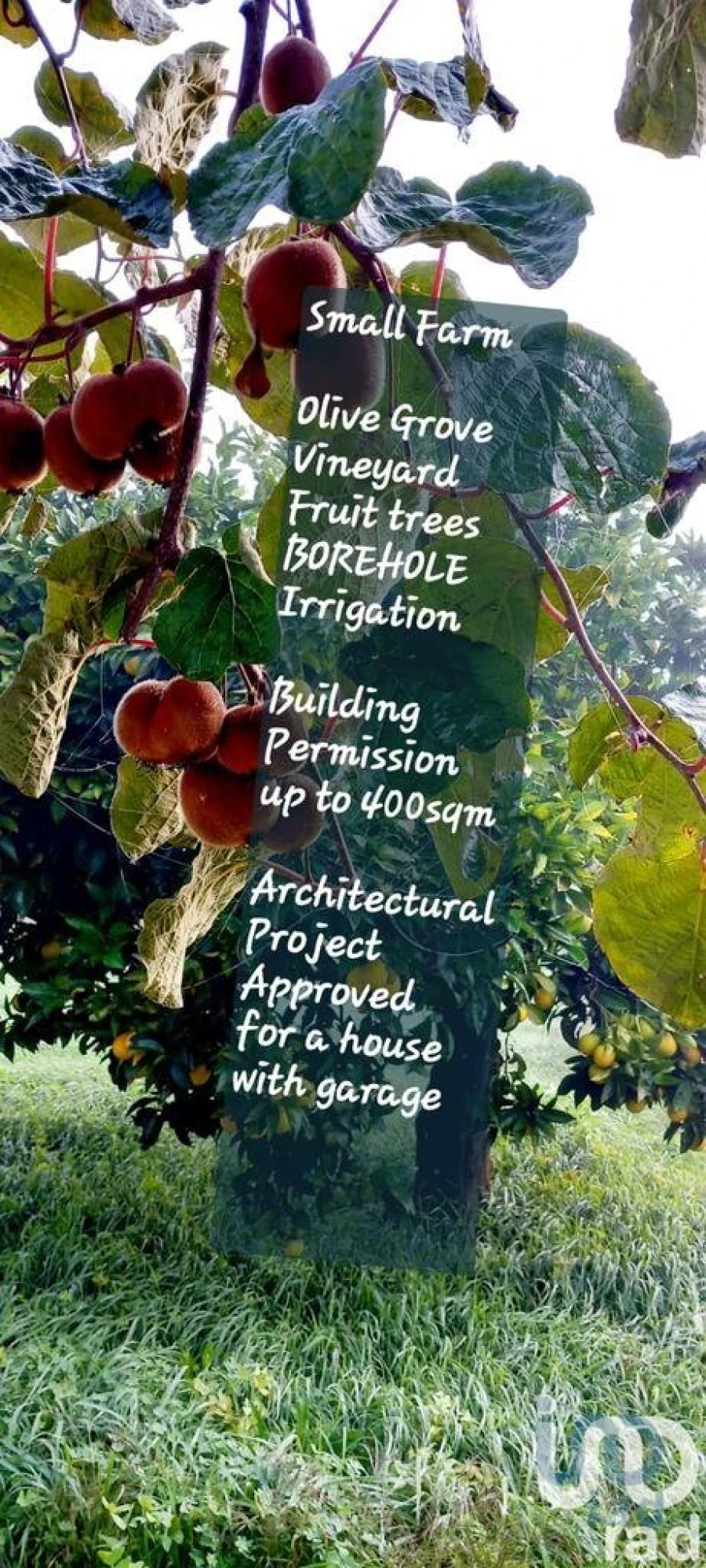 Terreno para Venda em Castelo Foto 4