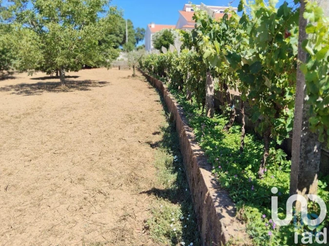 Terreno para Venda em Castelo Foto 7
