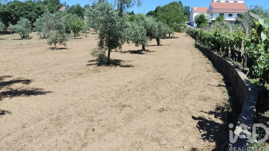 Terreno para Venda em Castelo Foto 27