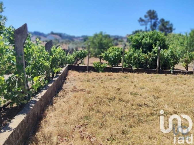 Terreno para Venda em Castelo Foto 10