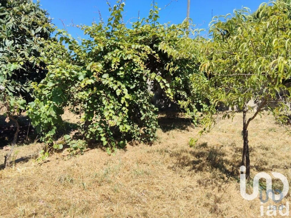 Terreno para Venda em Castelo Foto 11