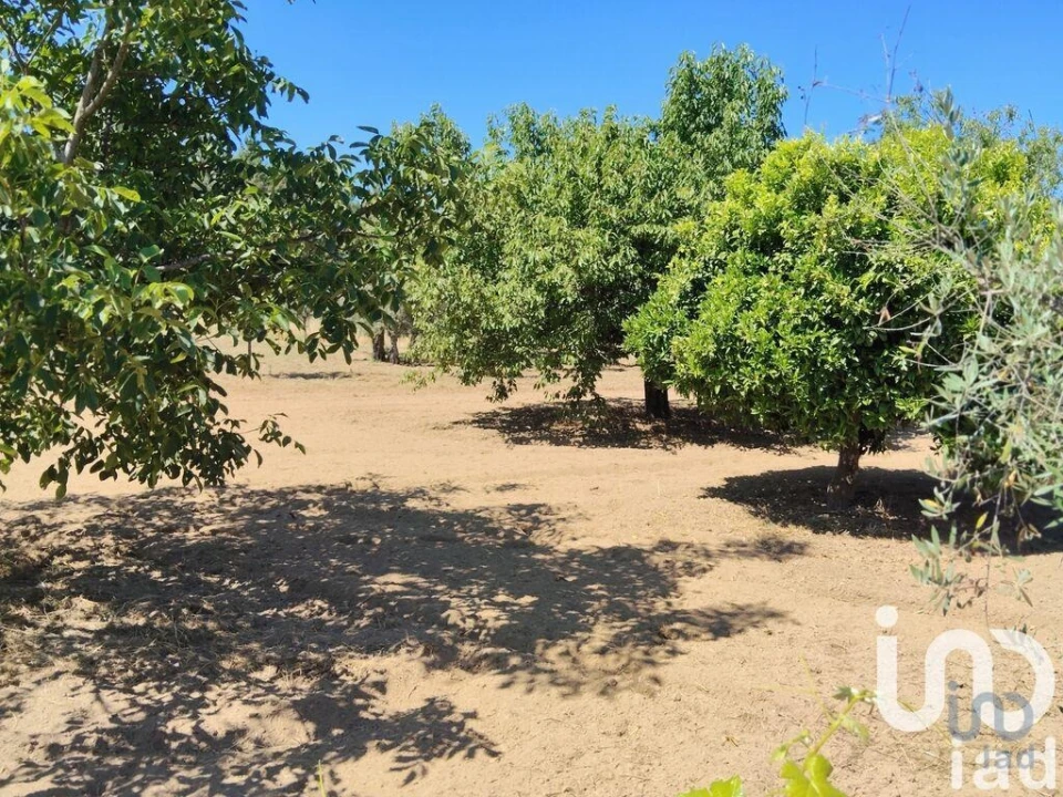 Terreno para Venda em Castelo Foto 2