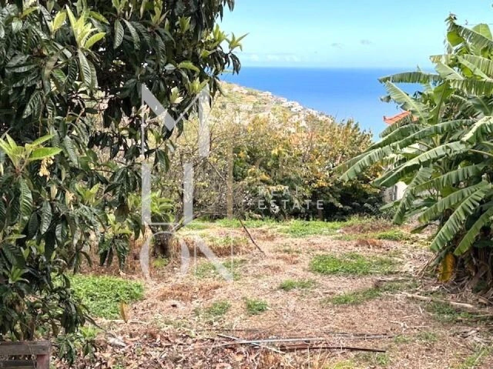 Moradia T5 para Venda em Arco da Calheta Foto 22
