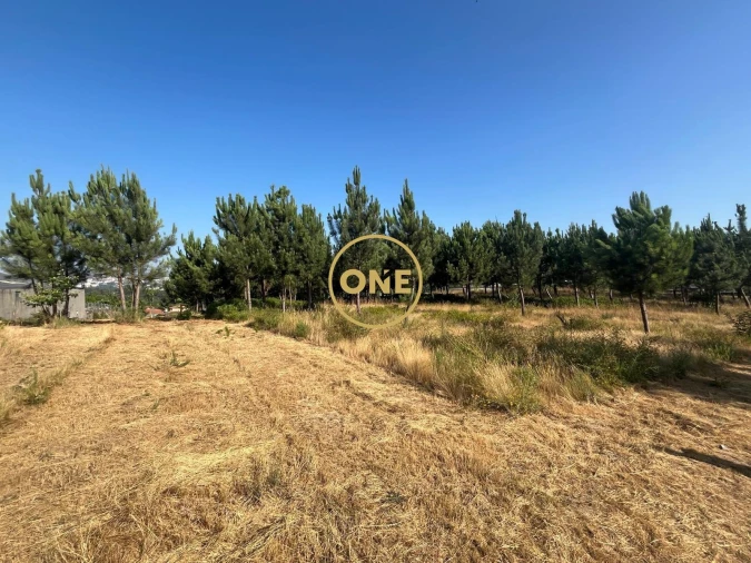 Terreno para Venda em Paredes Foto 2