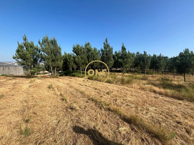 Terreno para Venda em Paredes Foto 6