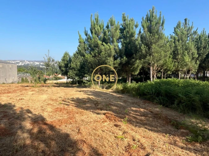 Terreno para Venda em Paredes Foto 5