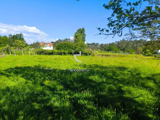 Moradia T3 para Venda em Coura Foto 21