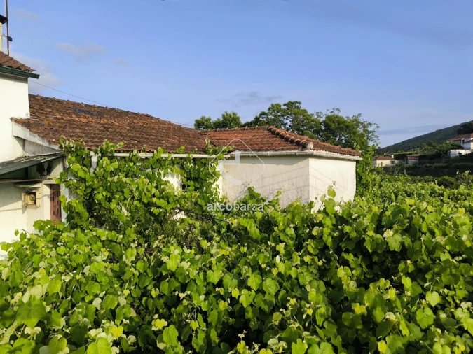 Moradia T3 para Venda em Coura Foto 6