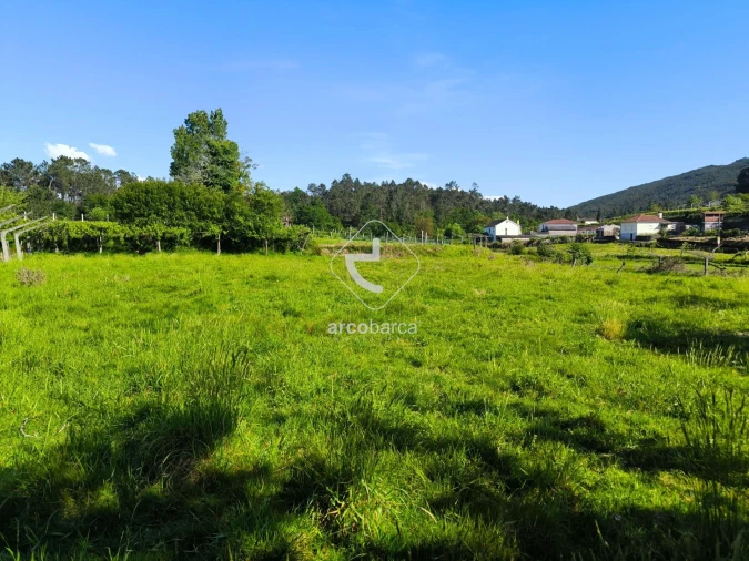 Moradia T3 para Venda em Coura Foto 22