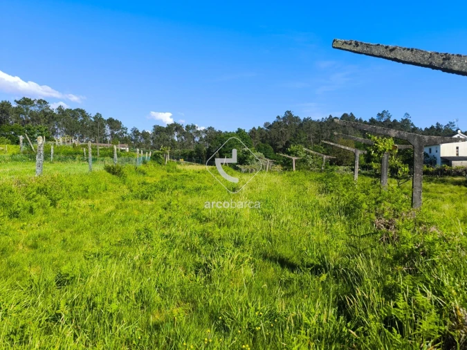 Moradia T3 para Venda em Coura Foto 24