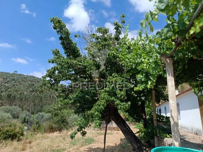 Quinta T5 para Venda em São Barnabe Foto 19