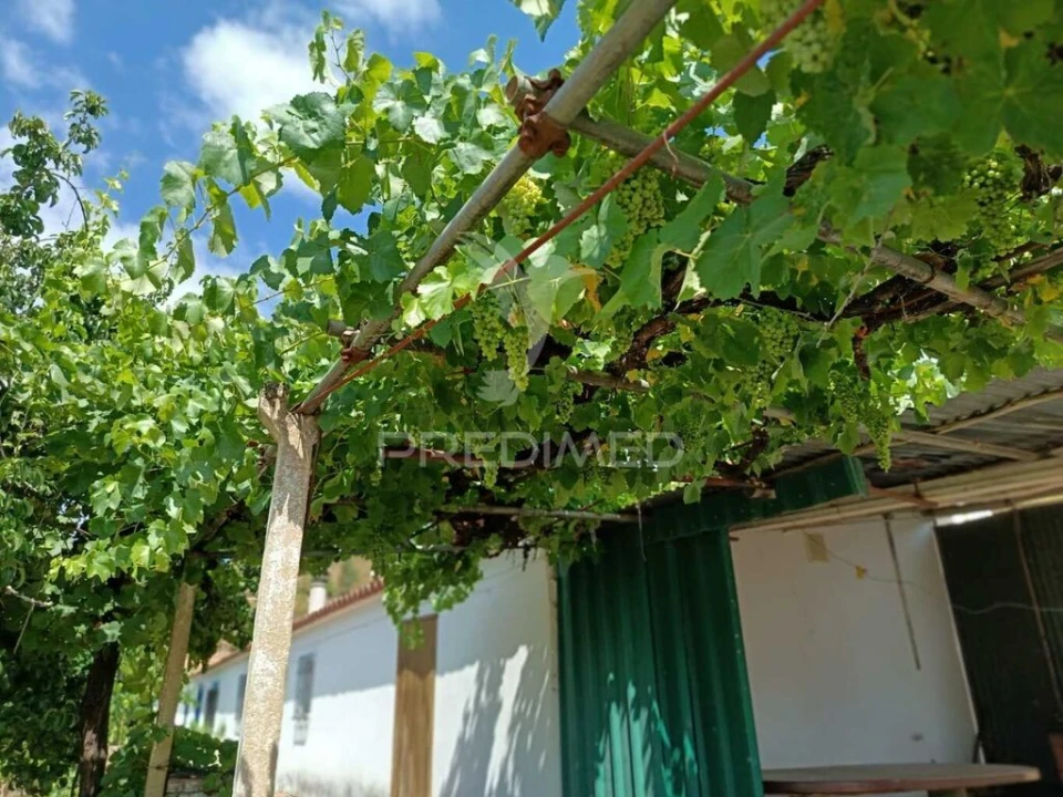 Quinta T5 para Venda em São Barnabe Foto 5