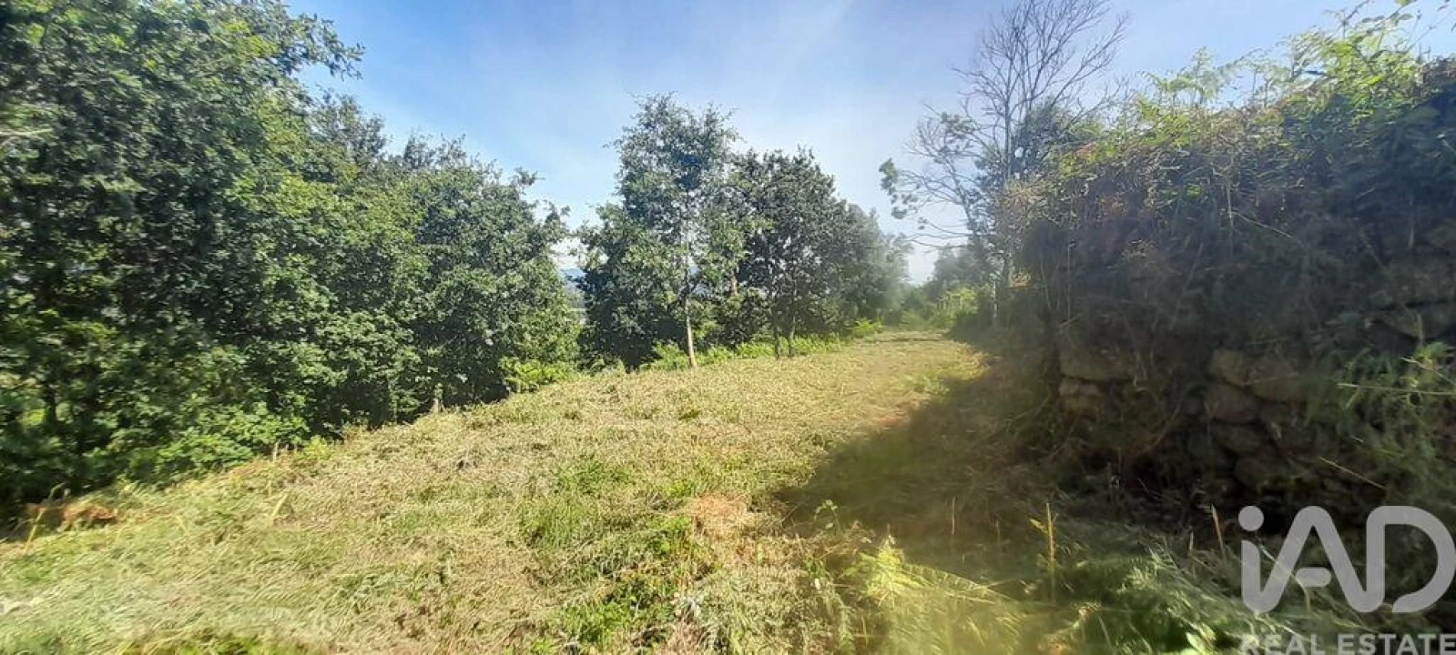 Moradia T3 para Venda em Fontoura Foto 30