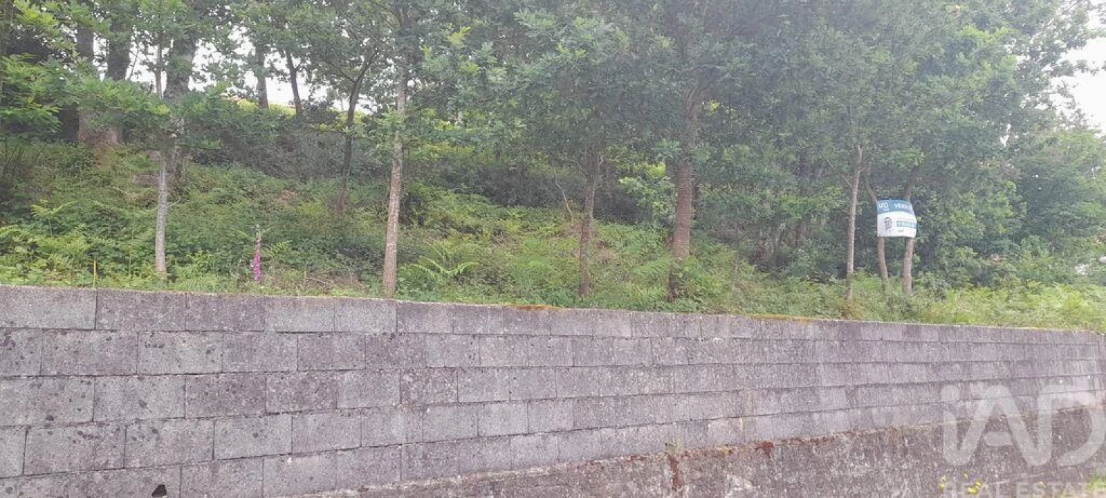 Moradia T3 para Venda em Fontoura Foto 27