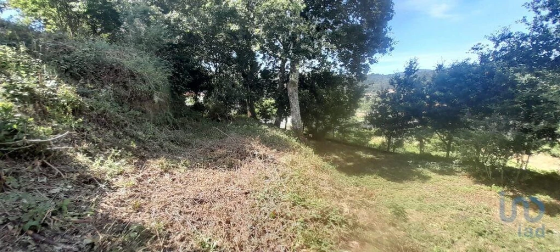 Moradia T3 para Venda em Fontoura Foto 10