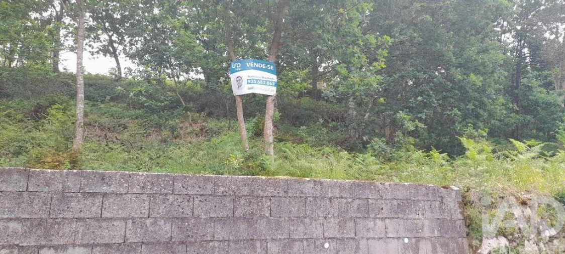 Moradia T3 para Venda em Fontoura Foto 26