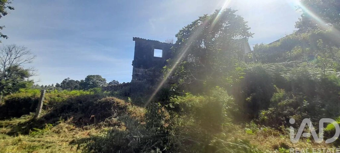 Moradia T3 para Venda em Fontoura Foto 16