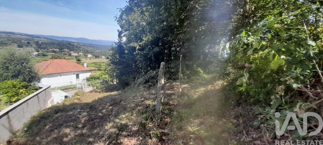 Moradia T3 para Venda em Fontoura Foto 15