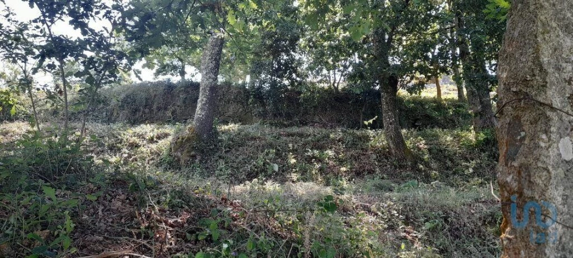 Moradia T3 para Venda em Fontoura Foto 11