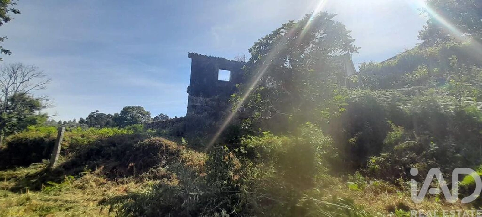 Moradia T3 para Venda em Fontoura Foto 16