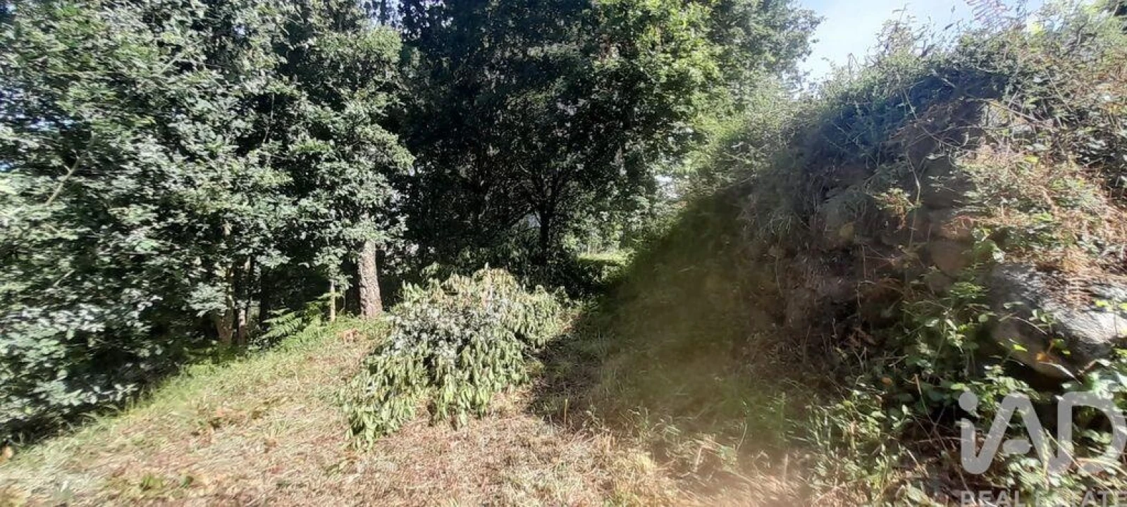 Moradia T3 para Venda em Fontoura Foto 29