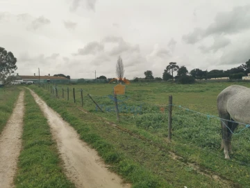 Quinta T1 para Venda em Palmela