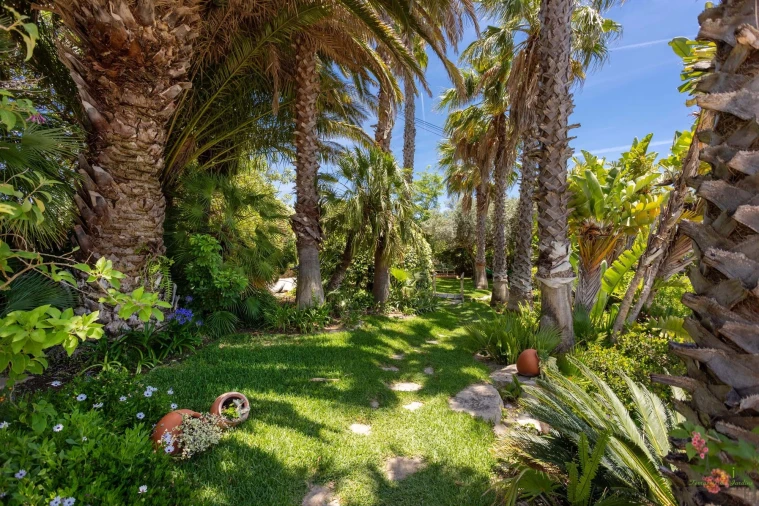 Moradia T3 para Venda em Santa Barbara de Nexe Foto 7