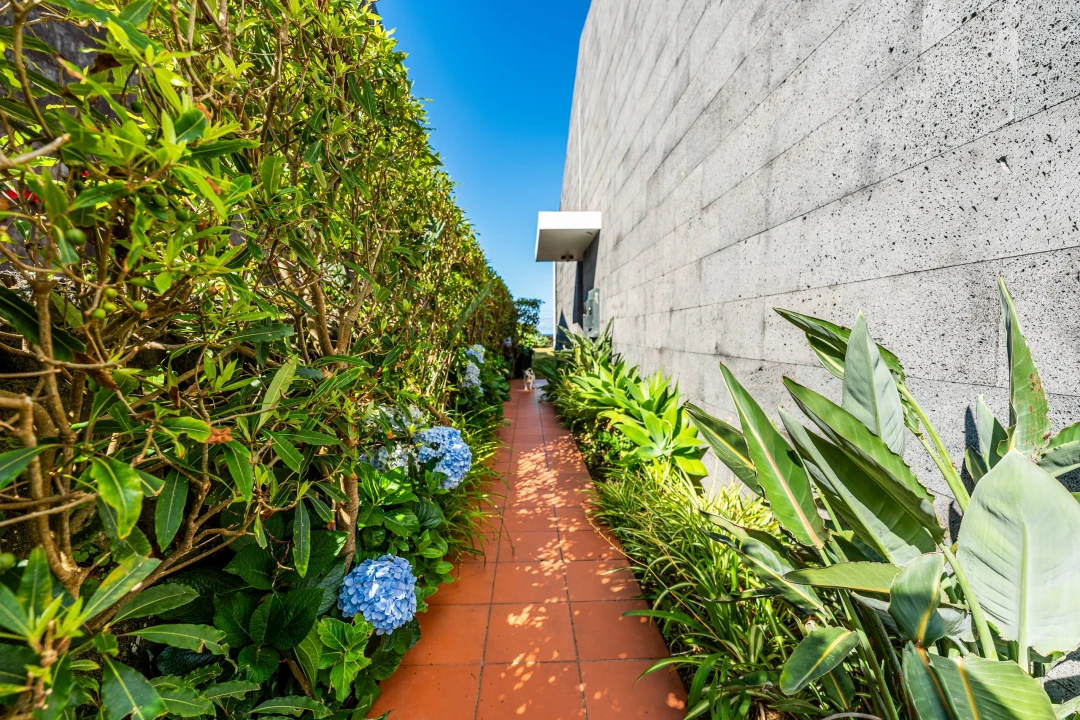 Moradia T3 para Venda em Agua de Pau Foto 4