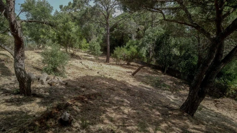 Moradia para Venda em Cascais e Estoril