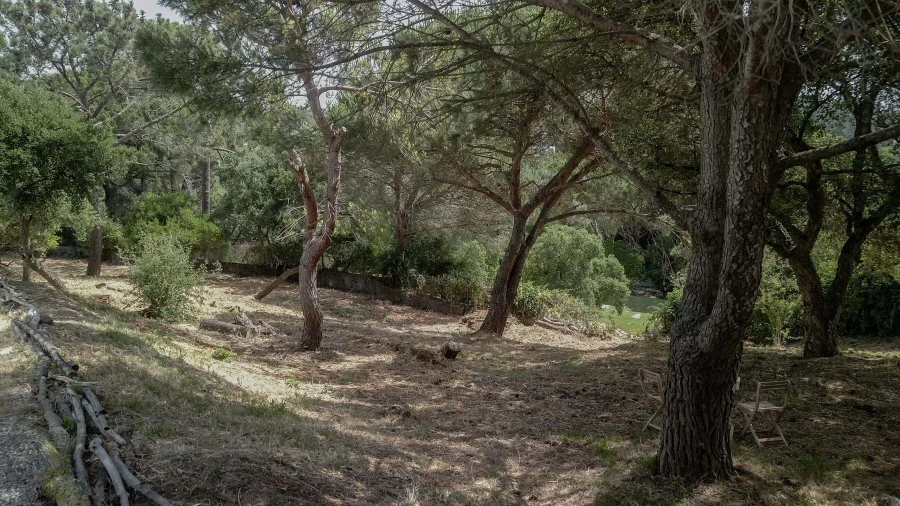 Moradia para Venda em Cascais e Estoril Foto 16