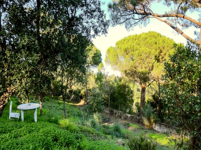 Moradia para Venda em Cascais e Estoril Foto 8