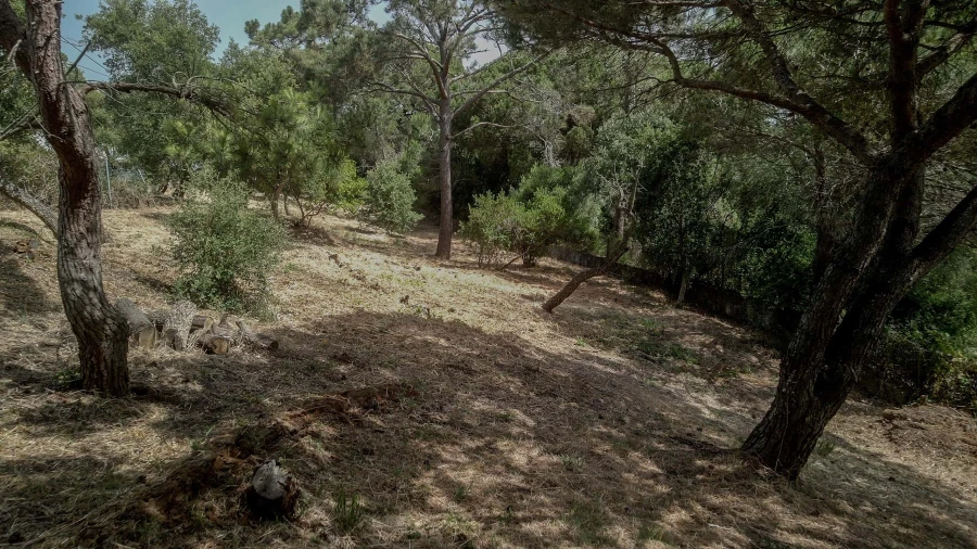 Moradia para Venda em Cascais e Estoril Foto 18