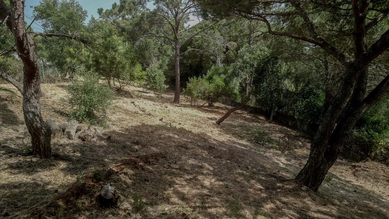 Moradia para Venda em Cascais e Estoril Foto 18