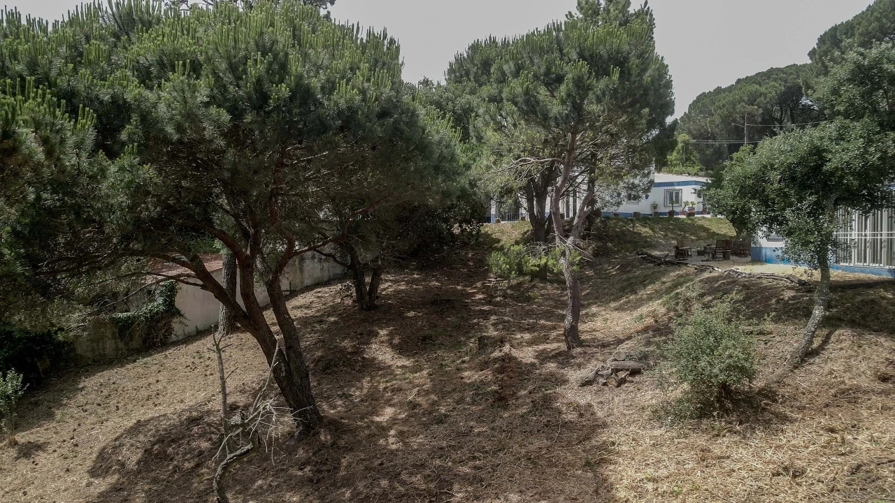 Moradia para Venda em Cascais e Estoril Foto 29