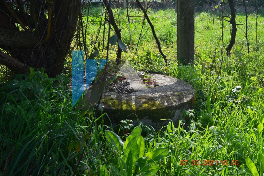 Terreno Agricola ou Rústico para Venda em Avintes Foto 9