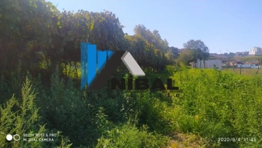 Terreno Agricola ou Rústico para Venda em Avintes Foto 24