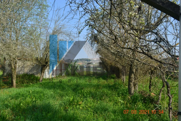 Terreno Agricola ou Rústico para Venda em Avintes Foto 6