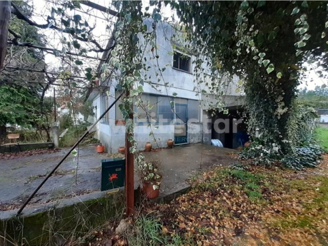 Moradia T3 para Venda em Sernancelhe e Sarzeda Foto 2