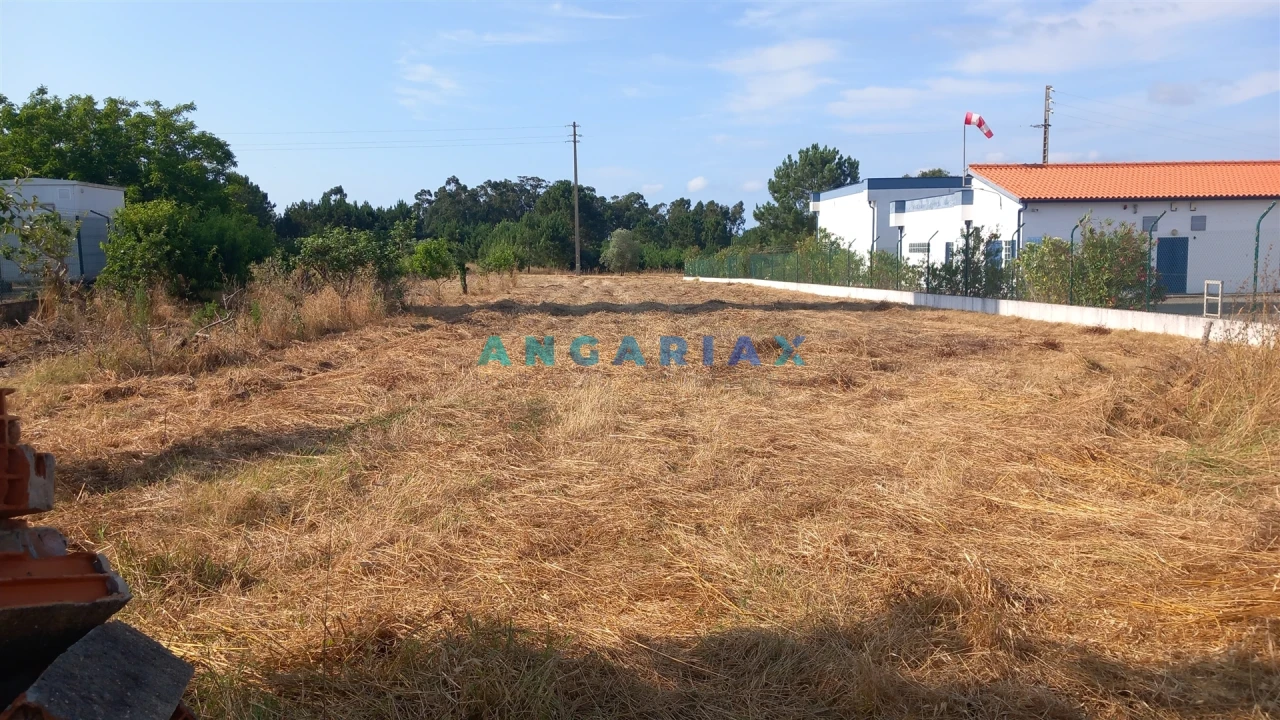 Terreno para Venda em Monte Real e Carvide Foto 1