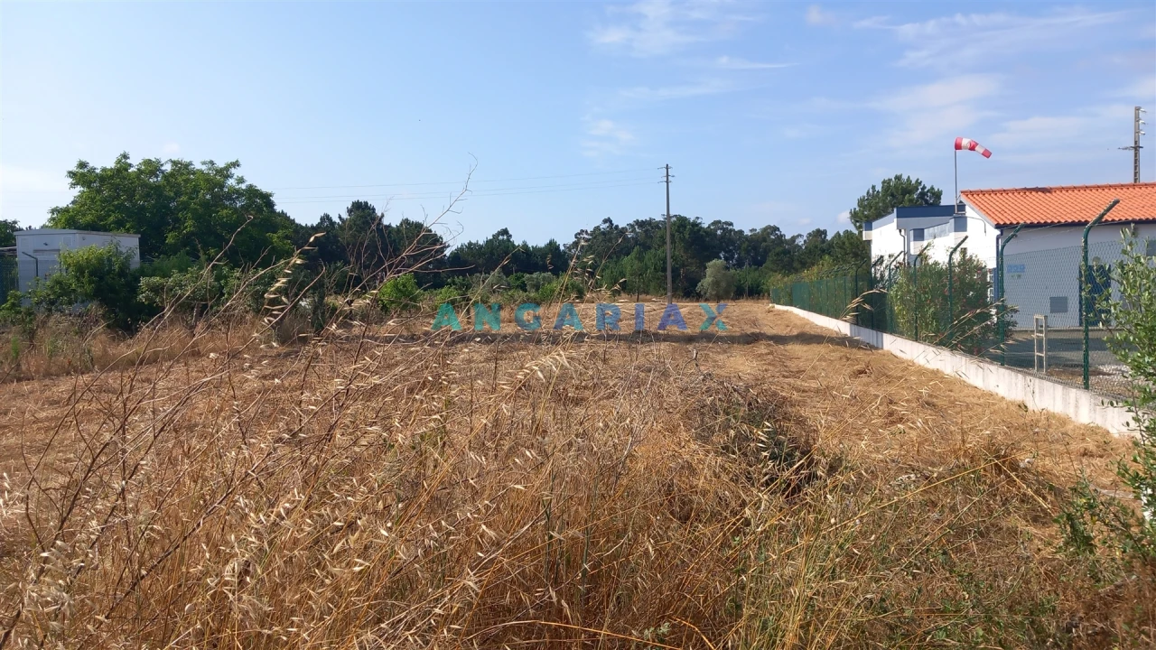 Terreno para Venda em Monte Real e Carvide Foto 2