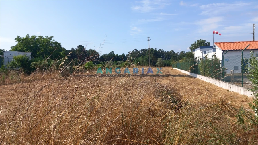 Terreno para Venda em Monte Real e Carvide Foto 2