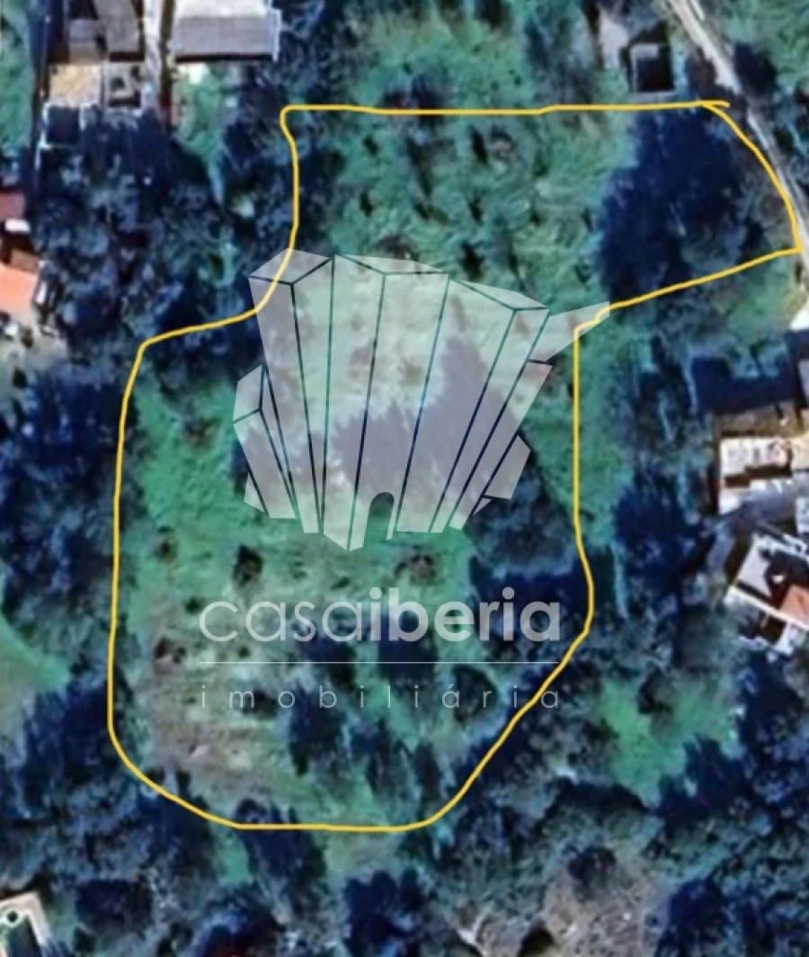 Terreno Agricola ou Rústico para Venda em Loule (São Clemente) Foto 2