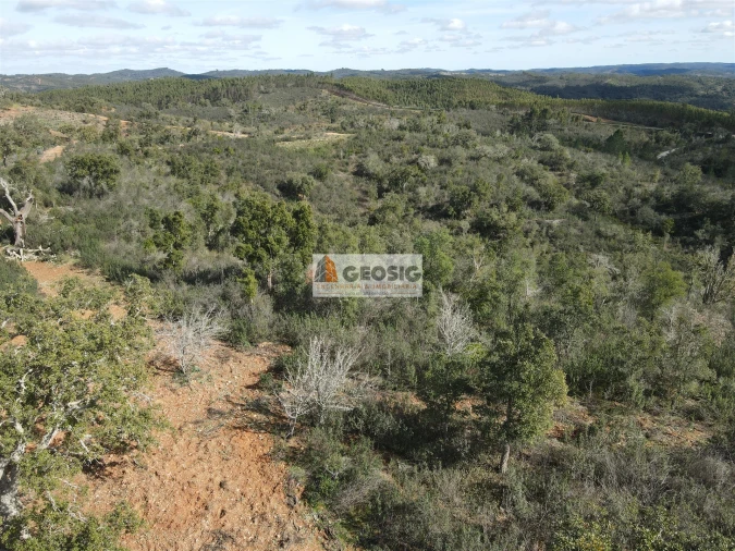 Quinta T1 para Venda em Reliquias Foto 25