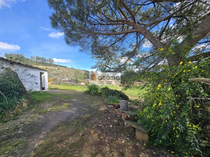 Quinta T1 para Venda em Reliquias Foto 22